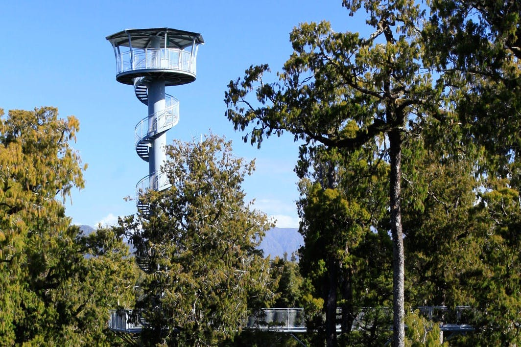 West Coast Tree Top Tower: Zipline + Walkway Combo Ticket - Photo 1 of 5